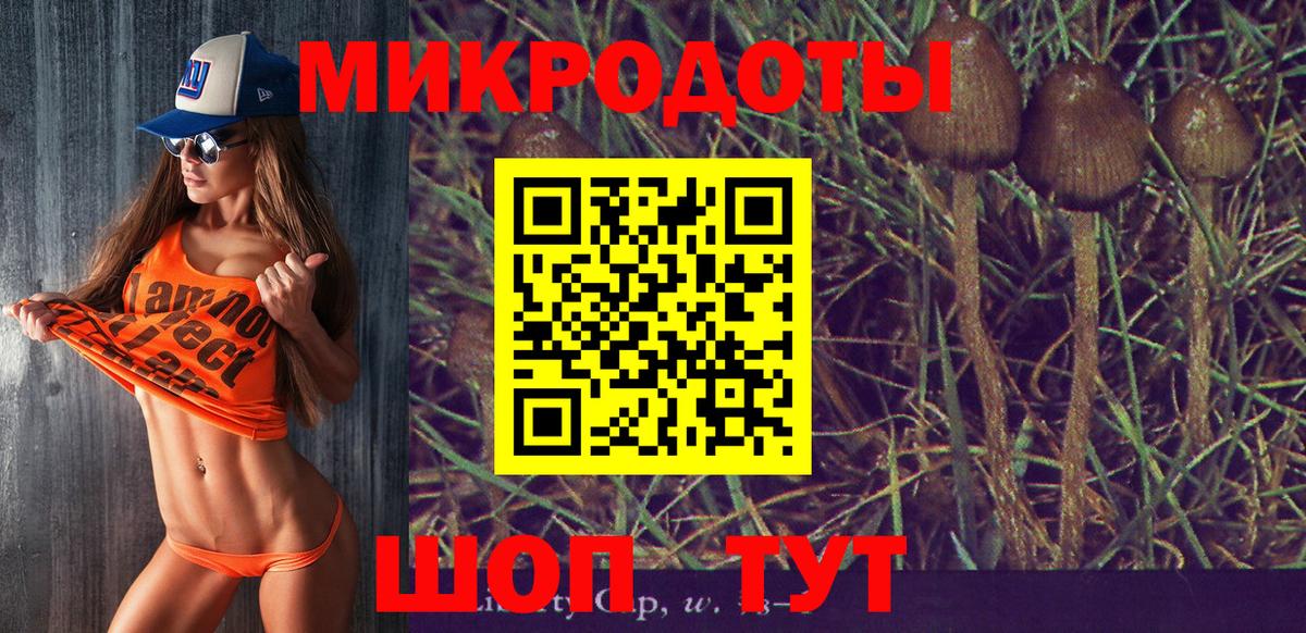 Псилоцибиновые грибы Magic Shrooms  Вход с VPN  Новозыбков 
